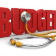 Budget and Stethoscope by Macromex